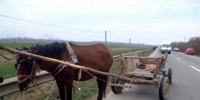 A furat un cal cu căruță cu tot…ca să mănânce mici! A ajuns în arest