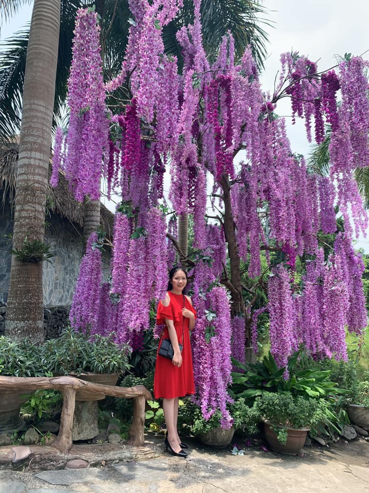 Cô Duyên Roi Da